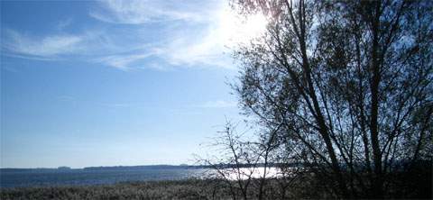 Halbinsel Wolgaster Ort zwischen Krumminer Wiek und Peenestrom.