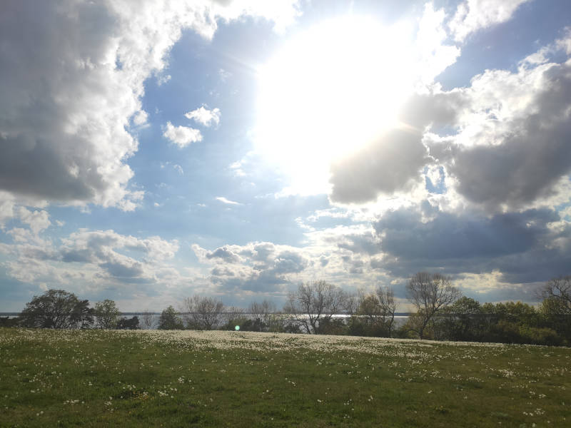 Urlaubsplanung im Internet: Usedomer Halbinsel Loddiner Höft im Frühjahr.