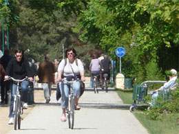 Radfahren auf der Insel Usedom: Alternative zum Autofahren.