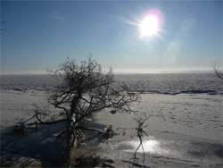 Zugefroren: Die weite Fläche des Stettiner Haffs bei Kamminke ist vollständig gefroren.