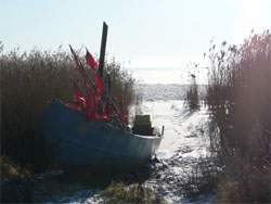 Winterruhe am Stettiner Haff: Das Fischerboot liegt in der Nähe von Garz im Schilf.