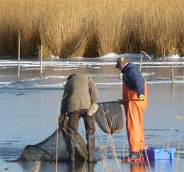 Eisfischerei auf Usedom: Fischer auf der Melle, einem Arm des Achterwassers bei Loddin.