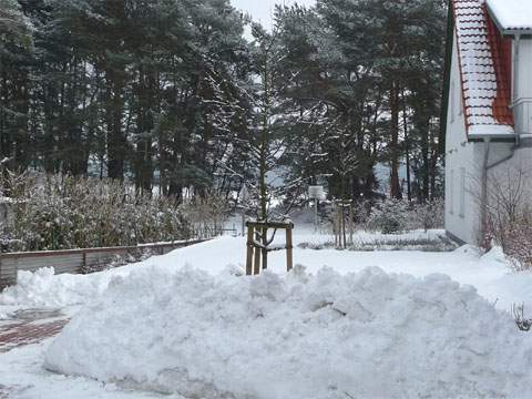 Winter im Steinbock-Ferienhof: Hoch liegt der Schnee im Februar.