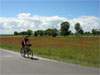 Mit dem Fahrrad die Insel Usedom entdecken: Auf dem Weg zum Bernsteinbad Koserow.