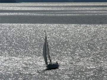 Sommer am Achterwasser: Blick vom Loddiner Höft auf das im Sonnenlicht glänzende Haffgewässer