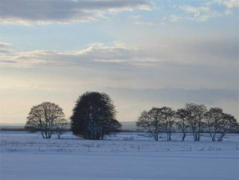 Wiesenlandschaft bei Loddin im Schnee.