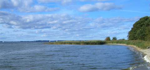 Verstecktes Idyll: Sandstrand am Achterwasser am Loddiner Höft. Badeurlaub im Seebad Loddin/Kölpinsee auf der Ostsee-Insel Usedom.