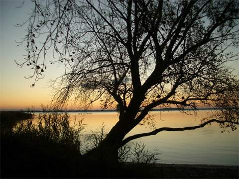 Die Ostseeinsel Usedom im Herbst: einige Impressionen.