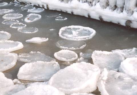 Die Ostseeinsel Usedom im Winter: einige Impressionen.