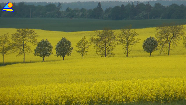 Abgelegen, ruhig und wunderschön: Die Haffküste.