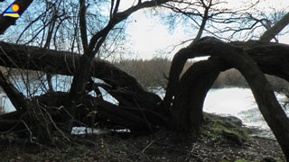 Möwenort und Weißer Berg: Die Halbinsel Gnitz im Hinterland der Insel Usedom.