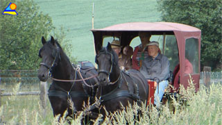 Gothen am Gothensee: Im Hinterland des Kaiserbades Heringsdorf.