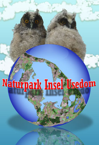 Naturpark Insel Usedom: Ein beeindruckendes Naturerlebnis.