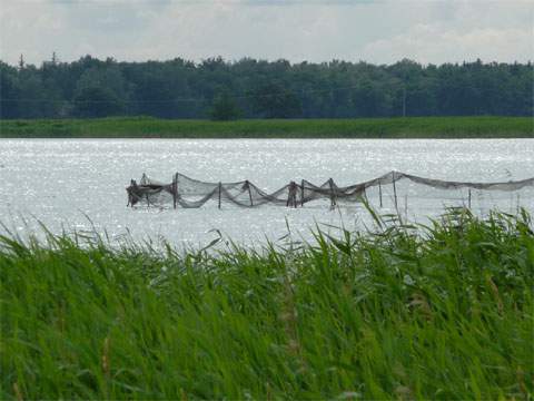 Achterwasser beim Ostseebad Zinnowitz auf Usedom: traditionelle Reusenfischerei