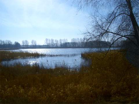 Der Arm Rieck des Achterwassers bildet zwischen Koserow und Zempin die schmalste Stelle der Insel Usedom.