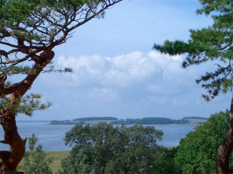 Achterwasserküste: Blick vom Steilufer zwischen dem Hafen Stagnieß und Ückeritz zum Loddiner Höft.