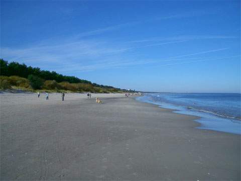 Flachküste: Der breite Ostseestrand zwischen den Seebädern Zempin und Zinnowitz.