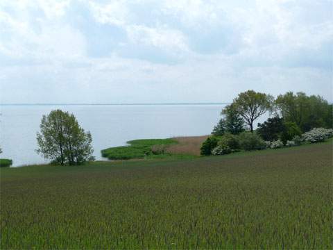 Blick übers Haff: Die leicht bewegte Hügellandschaft ist eine sehr reizvolle Usedomer Gegend.