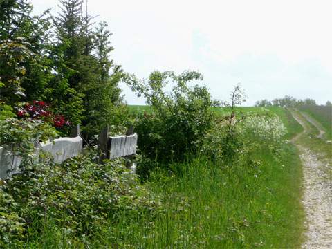 Letztes Gehöft in Neverow: Der Weg führt weiter an die Usedomer Haffküste.