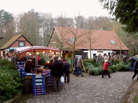 Weihnachtsmarkt im Miniaturformat: Weihnachtsbaumverkauf im Forstamt Neu-Pudagla.
