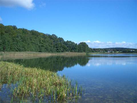 Im Hinterland der Kaiserbäder: Der idyllische Krebssee nahe Bansin auf Usedom.