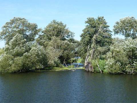 Torfstich an der Peene: Bis zu 10 Meter waren die Torfflötze dick.