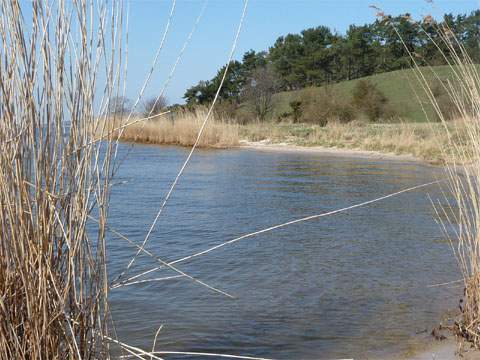 Sandstrand in der Sonne: Möwenort an der Südspitze der Halbinsel Gnitz.