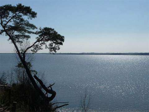 Ausblick über Achterwasser und Peenestrom: Aussichtspunkt auf dem Weißen Berg.