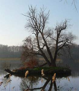 Heimatverein Seebad Loddin: Der idyllische Kölpinsee liegt direkt hinter dem Ostseestrand.