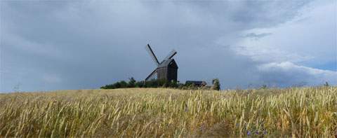 Radfahren in der Usedomer Landschaft: Bockwindmühle zwischen Pudagla und Neppermin