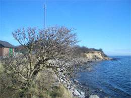 Vor Rügen und Usedom: Die Insel Greifswalder Oie.