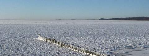 Auch im Winter ein beeindruckendes Erlebnis: Das Haff bei Kamminke.