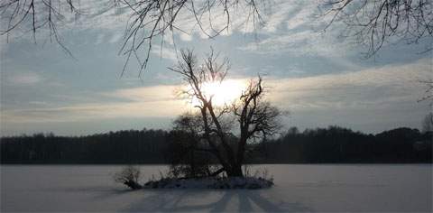 Hinter dem Ostseedeich: Schwaneninsel im Kölpinsee.