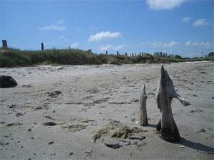 Sandstrand am Greifswalder Bodden: Die Halbinsel Struck bei Lubmin.