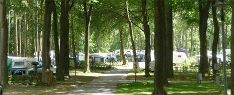 Fast direkt am Ostseestrand: Der Zeltplatz Stubbenfelde in Kölpinsee.